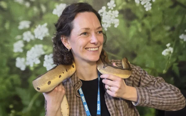 NHS Brings in Therapy Snakes to Treat Anxiety and It Is Not as Weird as It Sounds